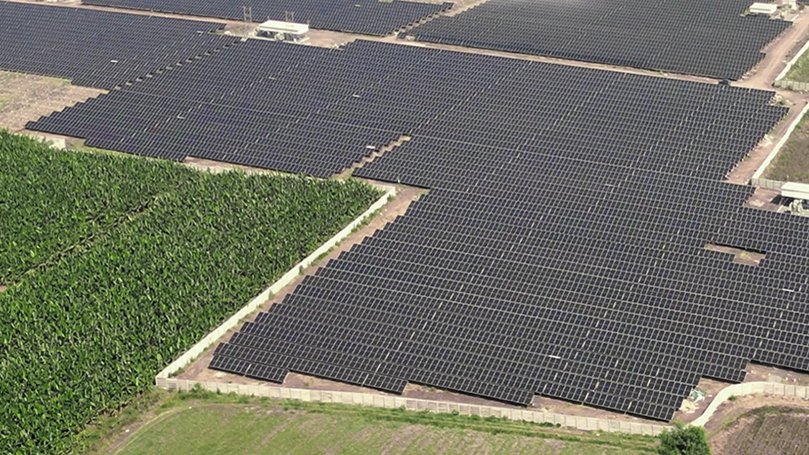 Asha Solar Park - Solar Project 6
