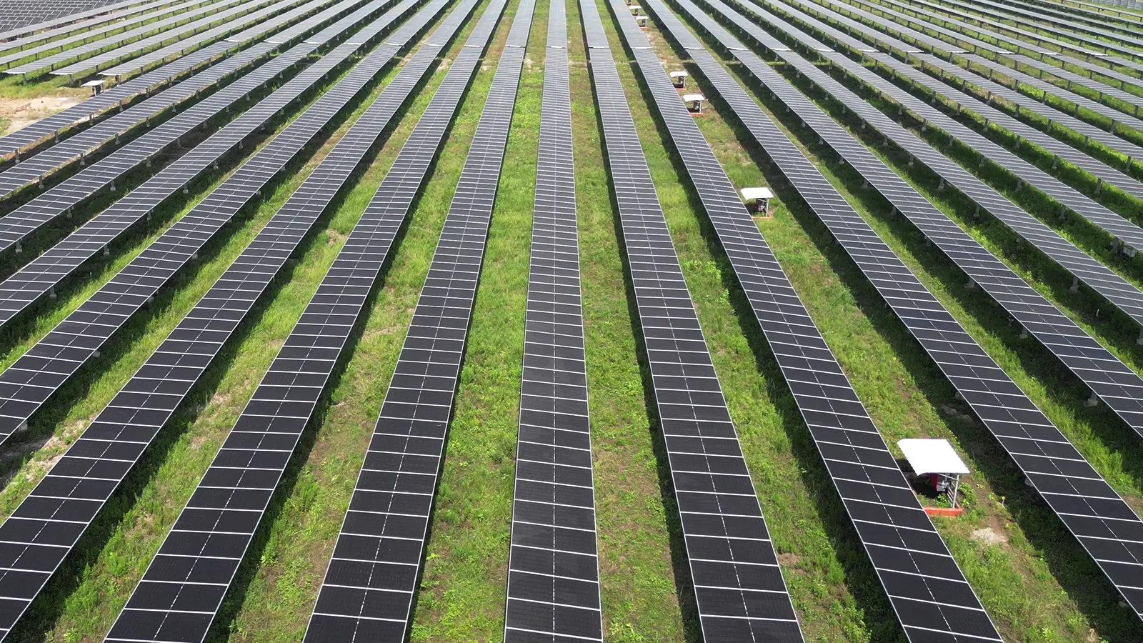 Rajuvadiya Solar Park - Solar Project 12