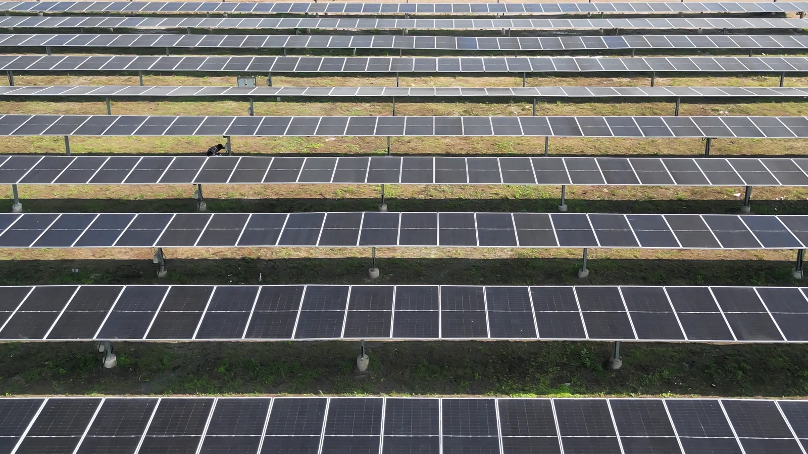Rajuvadiya Solar Park - Solar Project 9
